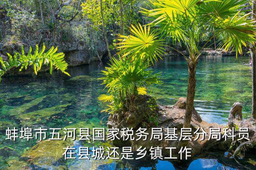 懷遠稅務局在什么地方，蚌埠市五河縣國家稅務局基層分局科員在縣城還是鄉(xiāng)鎮(zhèn)工作