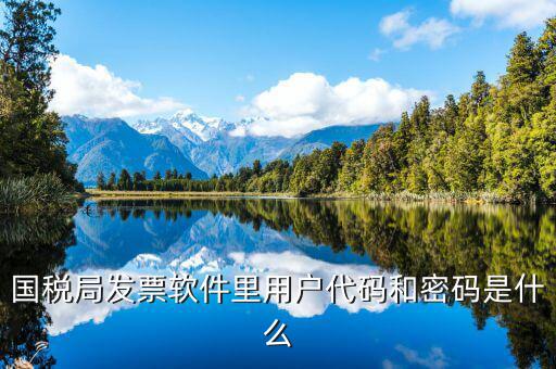國稅用戶密碼是什么，你好我想問你 一下 網(wǎng)上國稅的用戶名和密碼是什么