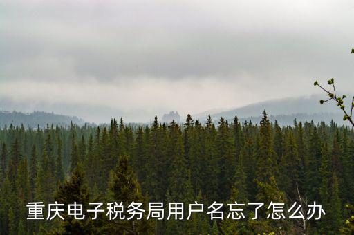 重慶電子稅務局的網址是什么意思，重慶市國稅電子申報委托繳稅的網址