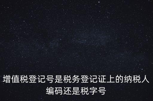 一般納稅人登記編號是什么，納稅人編號是什么