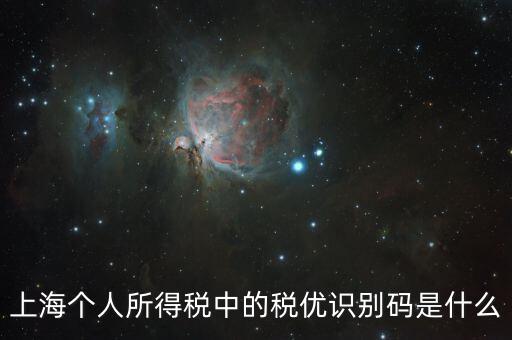 稅優(yōu)碼什么樣子，保險稅優(yōu)識別碼是什么樣的