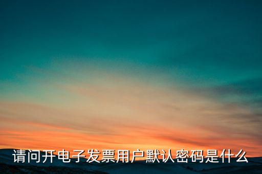 重慶國(guó)稅電子發(fā)票登錄密碼是什么意思，國(guó)稅局發(fā)票軟件里用戶代碼和密碼是什么