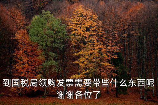 去國稅領發(fā)票需要帶什么，國稅領取發(fā)票需帶什么材料不是初次領購