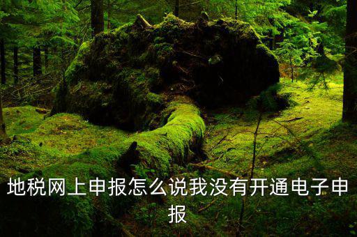 地稅網(wǎng)上申報(bào)怎么說(shuō)我沒(méi)有開通電子申報(bào)