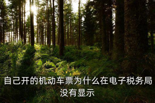 為什么登錄電子稅務(wù)局沒有反映，自己開的機(jī)動車票為什么在電子稅務(wù)局沒有顯示