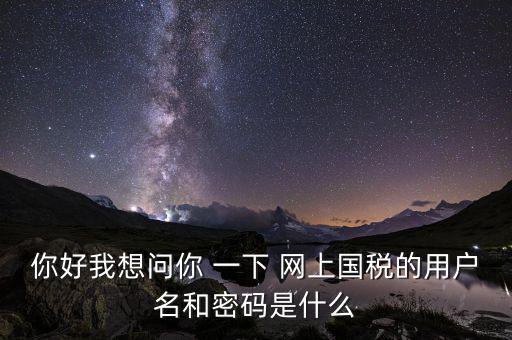 網(wǎng)上稅務(wù)辦理密碼是什么意思，國(guó)稅第一次網(wǎng)上申報(bào)的登陸密碼是什么