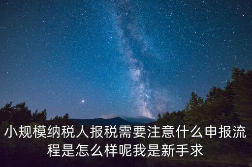 報(bào)稅需要注意什么手續(xù)，一般納稅人每個(gè)月怎么報(bào)稅報(bào)稅時(shí)要注意什么流程是怎么樣的