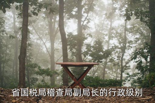 湖南稽查局長(zhǎng)什么級(jí)別，湖南廣電局紀(jì)檢組長(zhǎng)是什么級(jí)別