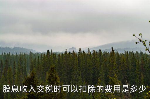 股息收入交稅時可以扣除的費(fèi)用是多少