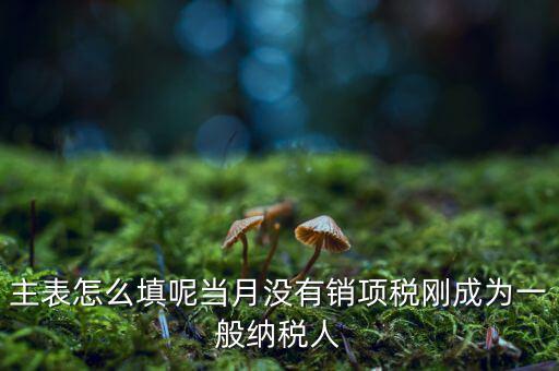 一般納稅人主表是什么意思，一般納稅人申報表主表的申明人必須輸入是什么意思