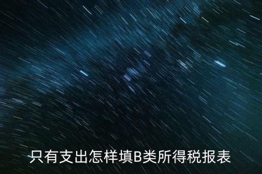 個人生產(chǎn)經(jīng)營所得B表稅金填什么，只有支出怎樣填B類所得稅報表