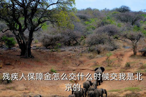 殘疾人保障金要求什么時(shí)候交，殘疾人保障金怎么交什么時(shí)候交我是北京的