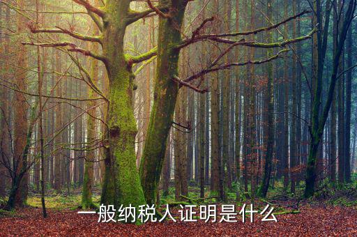 什么可以證明是一般納稅人，什么叫一般納稅人我如何辨別自己公司是否是一般納稅人