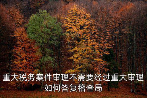 重大稅務(wù)案件審理不需要經(jīng)過(guò)重大審理如何答復(fù)稽查局