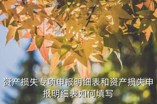 什么是專項(xiàng)資產(chǎn)損失申報(bào)表，所得稅申報(bào)表怎么填22資產(chǎn)損失