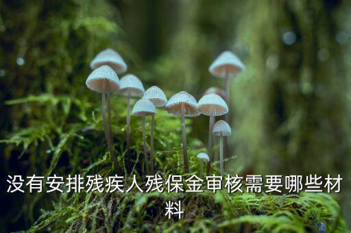 福建殘保金備案需要什么資料，求助2012年殘保金申請(qǐng)流程