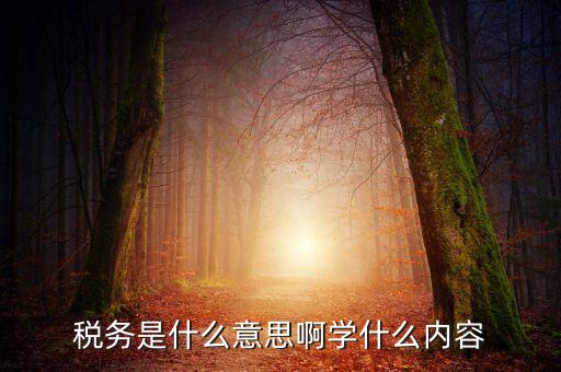 稅務(wù)中介是什么，稅務(wù)師事務(wù)所屬于什么行業(yè)