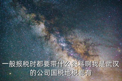 武漢國稅年報是什么，武漢市地稅國稅報稅截至日期分別是什么時候