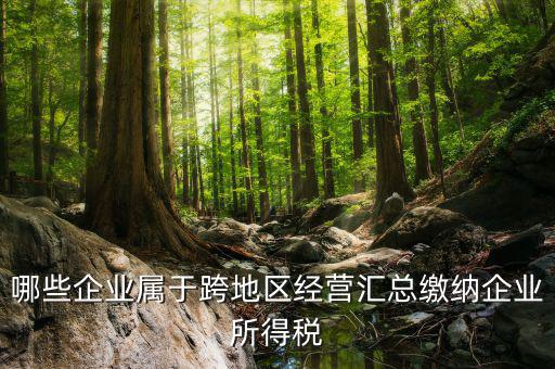 跨地區(qū)經(jīng)營匯總納稅指的是什么，哪些企業(yè)屬于跨地區(qū)經(jīng)營匯總繳納企業(yè)所得稅