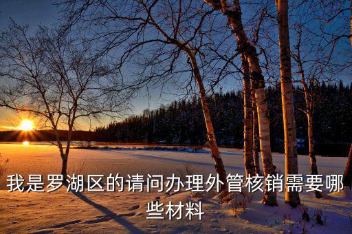 深圳外經(jīng)證核銷需要什么資料，我是羅湖區(qū)的請(qǐng)問辦理外管核銷需要哪些材料