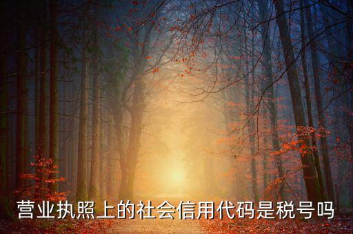 營業(yè)執(zhí)照上的社會(huì)信用代碼是稅號嗎