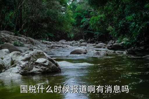 國(guó)稅同崗?fù)I什么時(shí)候?qū)崿F(xiàn)，請(qǐng)問(wèn)國(guó)稅什么時(shí)候才能實(shí)現(xiàn)陽(yáng)光工資