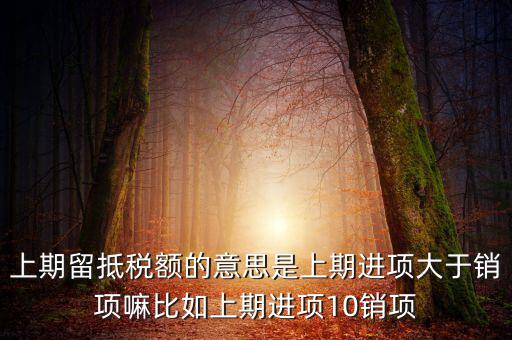 上期留抵稅額的意思是上期進(jìn)項(xiàng)大于銷(xiāo)項(xiàng)嘛比如上期進(jìn)項(xiàng)10銷(xiāo)項(xiàng)