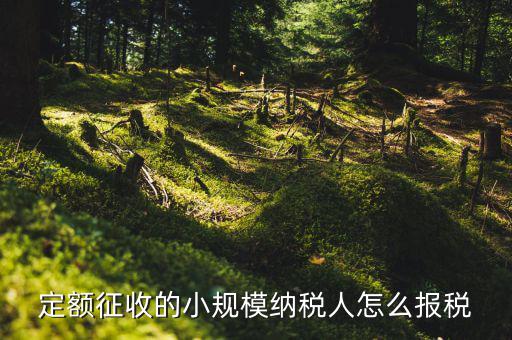 小規(guī)模納稅人 什么定額申報(bào)，定額征收的小規(guī)模納稅人怎么報(bào)稅