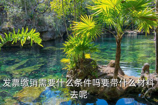 票證結(jié)報(bào)繳銷包括什么，去國(guó)稅局做稅票結(jié)報(bào)要帶哪些東西