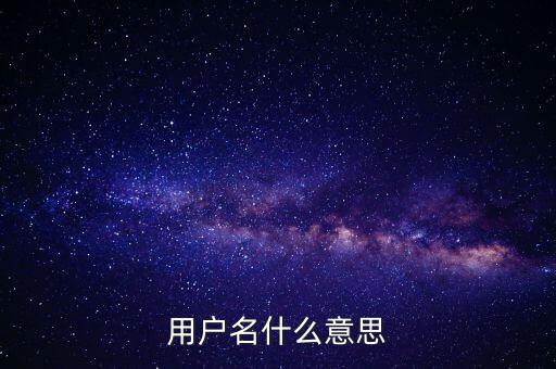 微稅用戶名是什么意思啊，用戶名什么意思