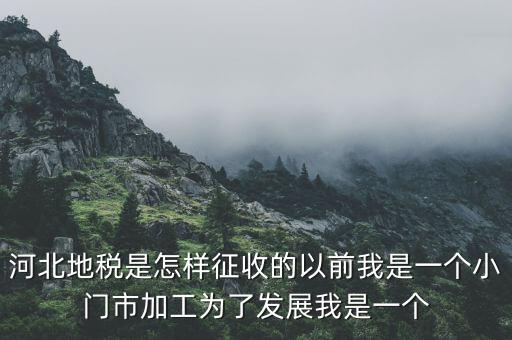 河北省地稅報稅征收方式是什么，河北地稅申報個人所得稅