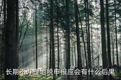 長期不辦理地稅申報(bào)應(yīng)會有什么后果