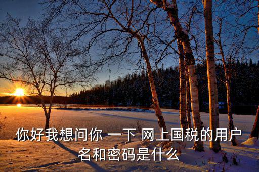 電子稅務(wù)的賬號密碼是什么，你好我想問你 一下 網(wǎng)上國稅的用戶名和密碼是什么