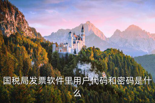 國(guó)稅局發(fā)票軟件里用戶(hù)代碼和密碼是什么