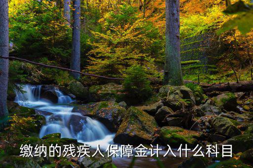 殘疾人就業(yè)保障金稅目是什么，殘疾人就業(yè)保障金應(yīng)計什么會計科目