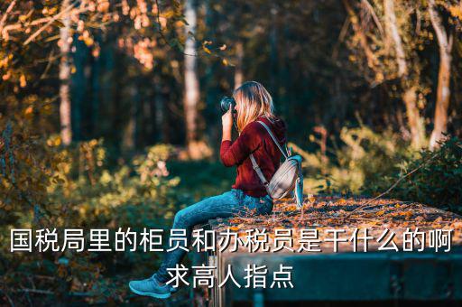 國稅局導稅員干什么的，國稅局里的柜員和辦稅員是干什么的啊求高人指點