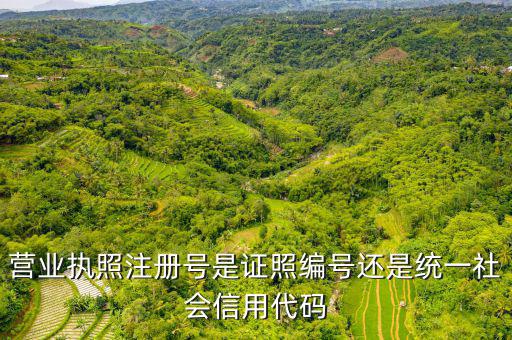 營業(yè)執(zhí)照注冊號是證照編號還是統(tǒng)一社會(huì)信用代碼