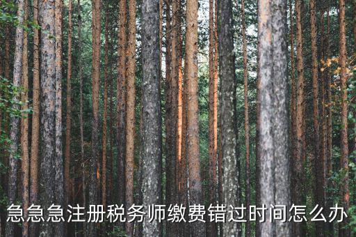 廣東省稅務師會費什么時候交，廣州2013年的匯算清繳報告什么時候交