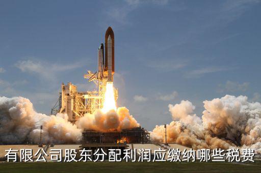 公司股東需要交什么稅，有限公司股東分配利潤應繳納哪些稅費