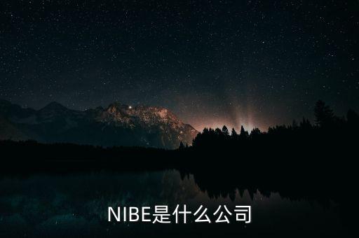 百望九賦是什么公司，NIBE是什么公司