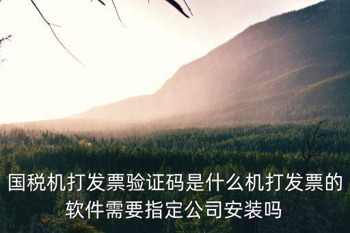 北京國(guó)稅電子發(fā)票驗(yàn)證密碼是什么，國(guó)稅局發(fā)票軟件里用戶代碼和密碼是什么