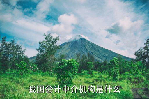 什么是涉稅中介機(jī)構(gòu)，我國(guó)會(huì)計(jì)中介機(jī)構(gòu)是什么