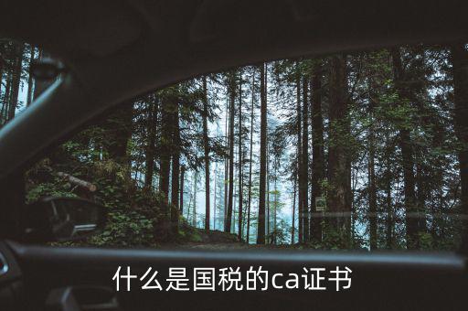 ca稅務數(shù)字證書是什么，什么是國稅的ca證書