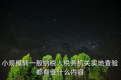 小規(guī)模轉一般納稅人稅務機關實地查驗都有些什么內容