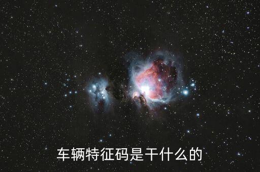 稅政科是干什么的，稅務局里的稅政科和征管科都有哪些功能