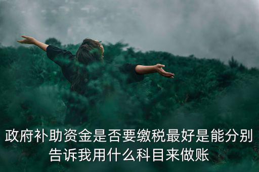 政府補(bǔ)貼交什么稅，關(guān)于政府補(bǔ)助的納稅問(wèn)題 請(qǐng)高手來(lái)回答啊 謝謝