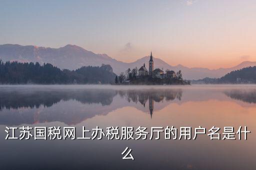 網(wǎng)上辦稅平臺(tái)帳號(hào)是什么，地稅網(wǎng)上申報(bào)用什么帳號(hào)