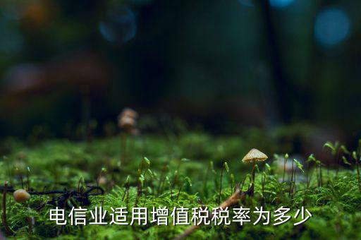 電信服務什么時候繳納增值稅，電信業(yè)適用增值稅稅率為多少