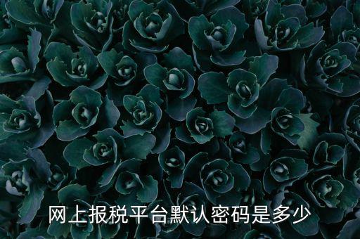 山東國(guó)稅登錄密碼是什么，國(guó)家稅務(wù)總局網(wǎng)上辦稅服務(wù)廳初始密碼是什么