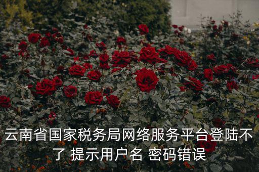 云南稅控服務(wù)平臺的網(wǎng)址是什么，云南國稅開票系統(tǒng)網(wǎng)址